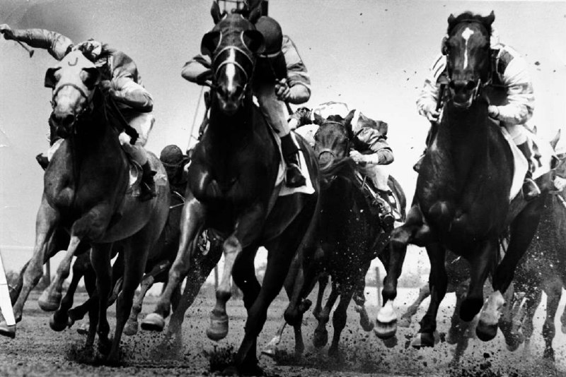 独自赛跑----------------------当你是一匹赛马时，他们之所以给这些马戴上眼罩，是因为如果你看左边或右边的马，你就会错过一步