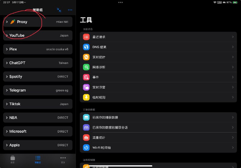 surge的proxy分组自动给我加了个胡萝卜🥕emoji是个什么彩蛋？via happy xiao