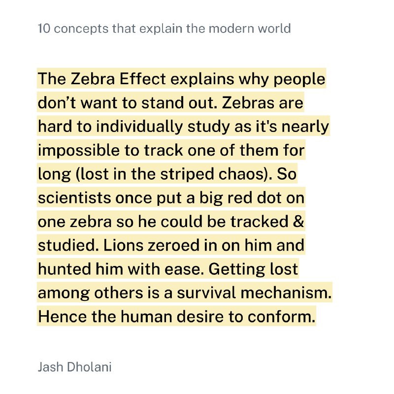 斑马效应解释了为什么人们不想引人注目