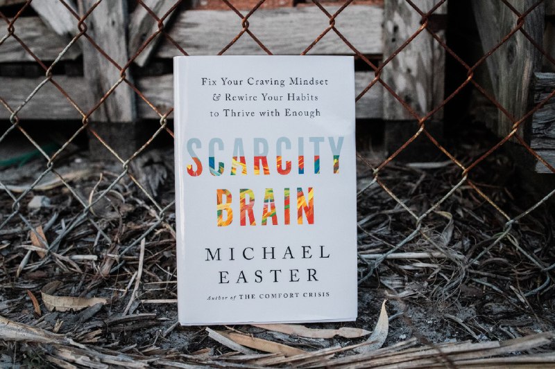 论坛，从“稀缺大脑”到”第三空间“论坛（forum），可以满足我们两种本能的需求：稀缺大脑，和第三空间